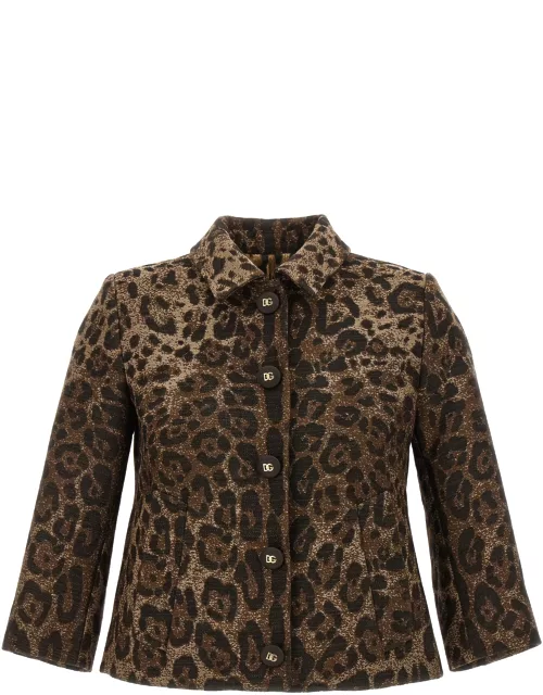 Dolce & Gabbana Cropped Animalier Jacket