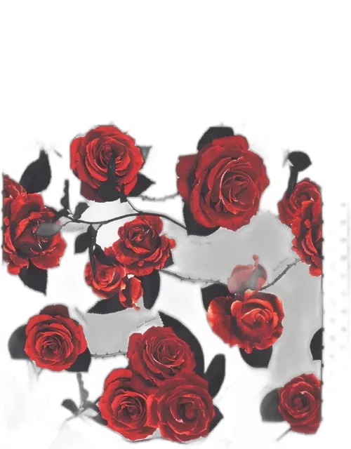 Balmain Red Roses & Polka Dots Scarf