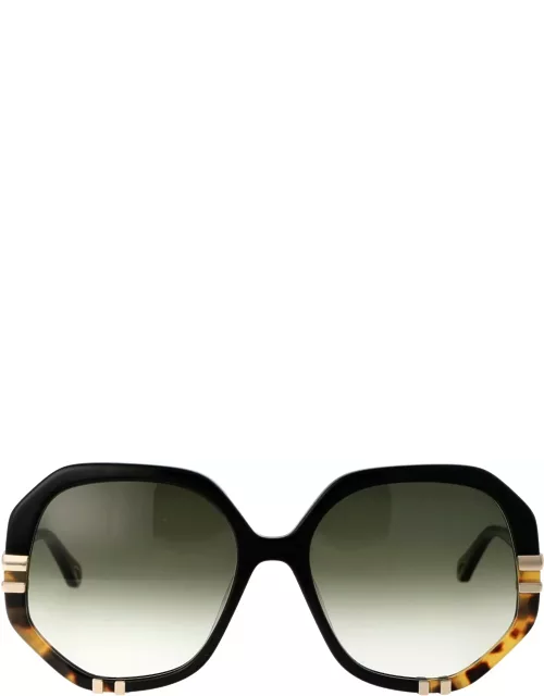 Chloé Eyewear Ch0105s Sunglasse
