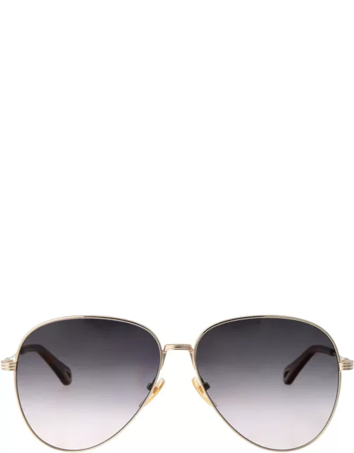 Chloé Eyewear Ch0177s Sunglasse
