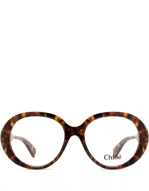 Chloé Eyewear Ch0221o Havana Glasse