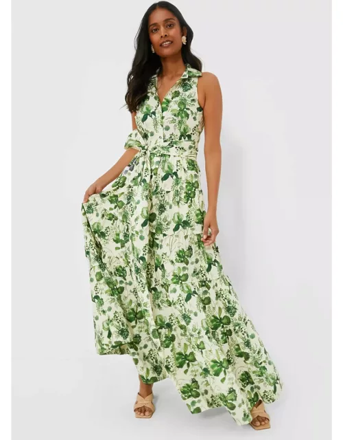 Olive Hanging Orchids Adriana Dres