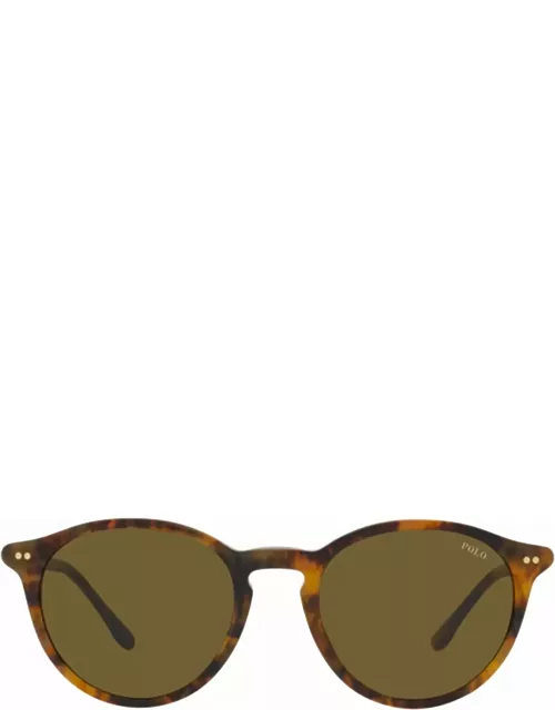 Polo Ralph Lauren Ph4193 Shiny Beige Tortoise Sunglasse