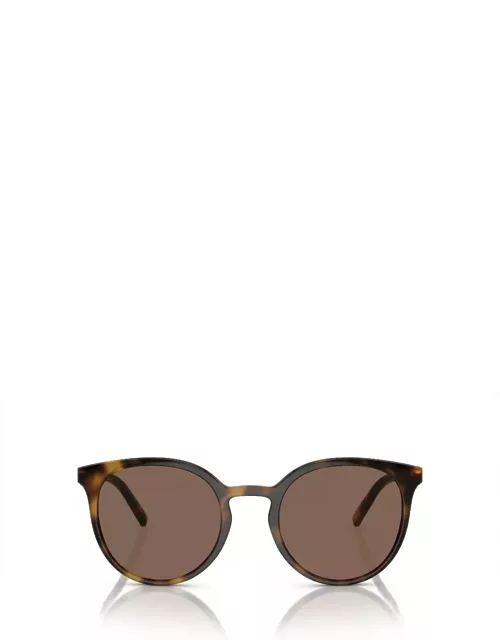 Dolce & Gabbana Eyewear DG6189 502/73 Sunglasse