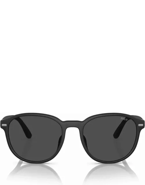 Polo Ralph Lauren Ph4207u Matte Black Sunglasse
