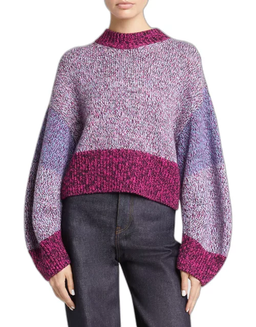 Colorblock Crewneck Crop Sweater