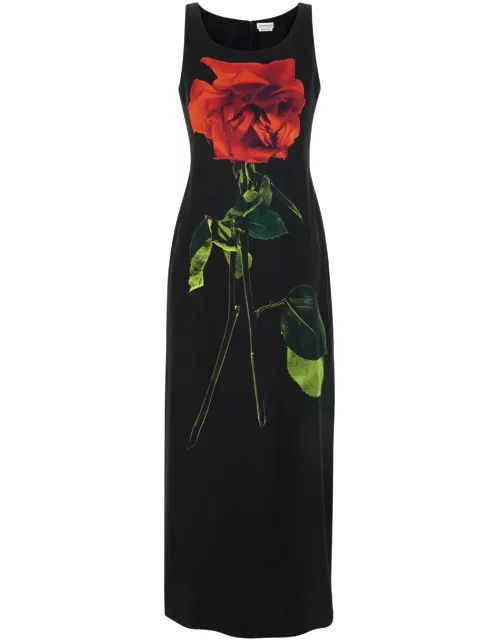 Alexander McQueen Long Dress With Rose Print