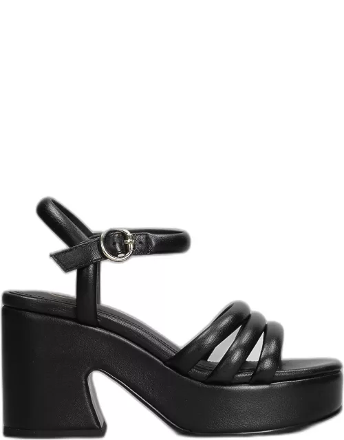 Ash Onyx Sandals In Black Leather