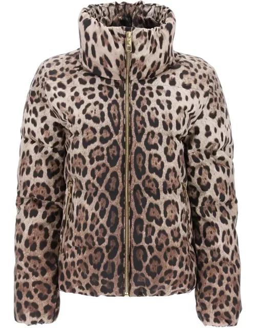 Dolce & Gabbana Leopard Print Padded Jacket