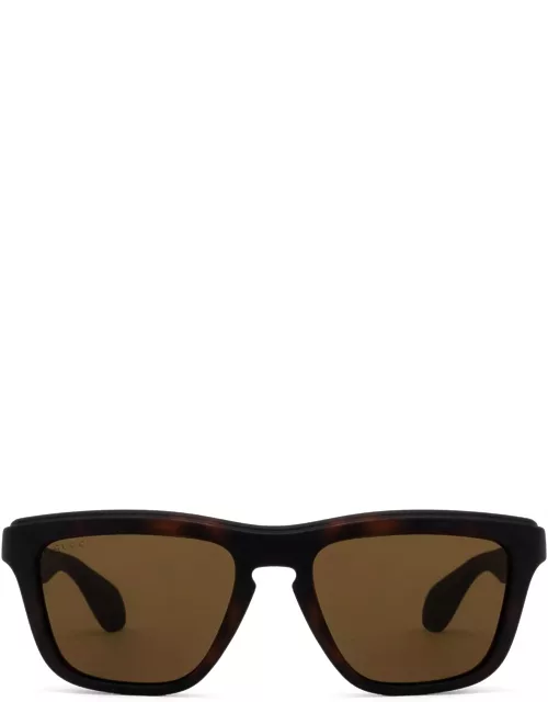 Gucci Eyewear Gg1571s Havana Sunglasse