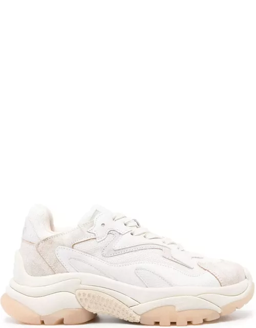 Ash Cream White Suede Sneaker
