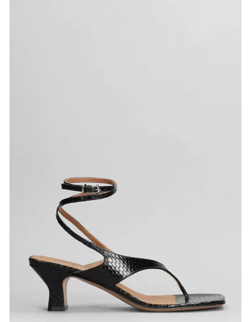 Paris Texas Portofino Sandals In Black Leather