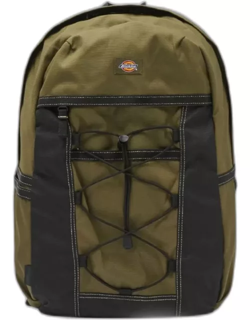 Backpack DICKIES Men colour Olive