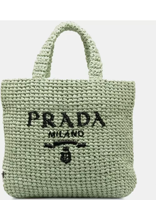 Prada Small Raffia Logo Tote Bag