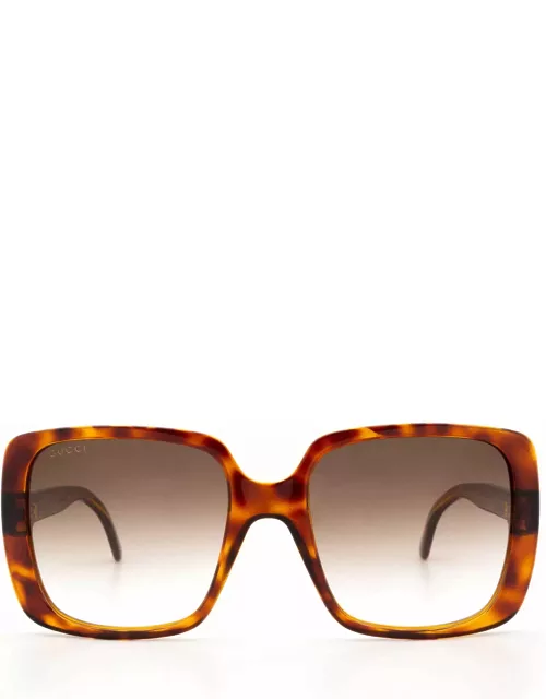 Gucci Eyewear Gg0632s Havana Sunglasse