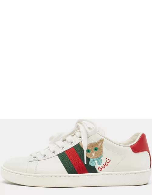 Gucci White Leather Ace Web Sneaker