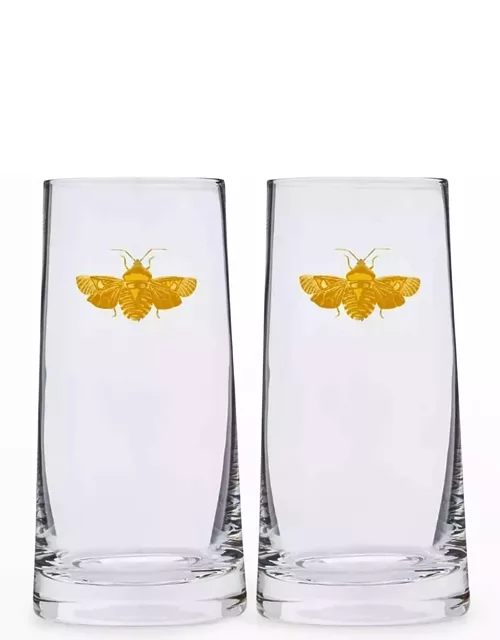 Creatures of Curiosity Highball Glasses, Set of