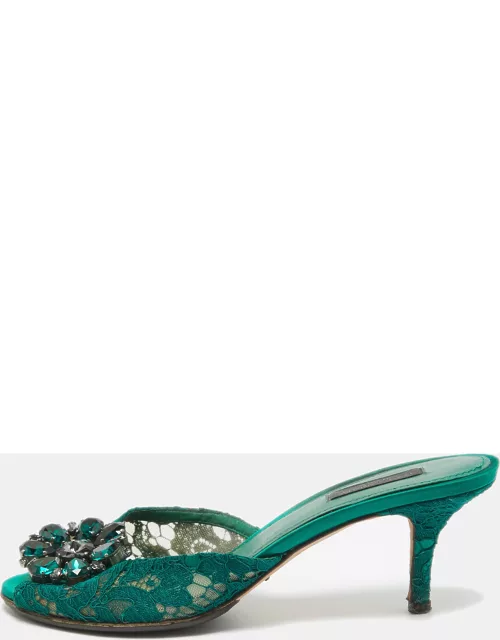 Dolce & Gabbana Green Lace and Mesh Bianca Slide Sandal