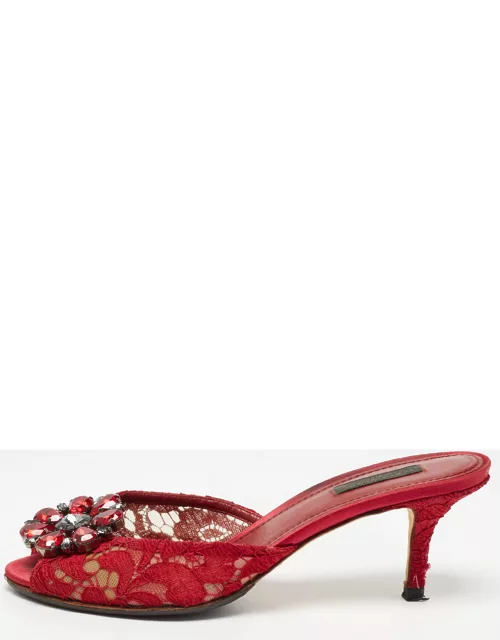 Dolce & Gabbana Red Mesh and Lace Bianca Sandal