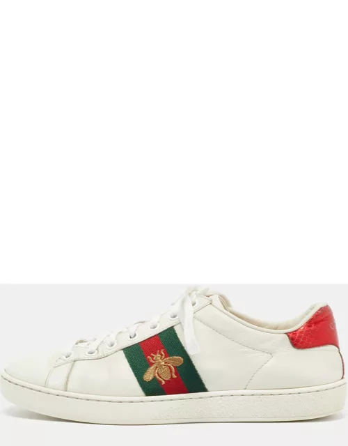 Gucci White Leather Bee Embroidered Ace Sneaker