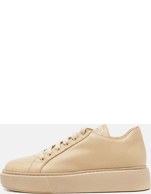 Prada Beige Leather Low Top Sneaker
