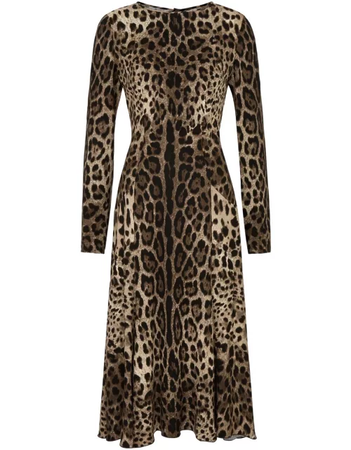 Dolce & Gabbana Leopard-print Stretch-cady Midi Dress - 46 (UK14 / L)