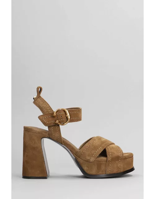Ash Melany Sandals In Brown Suede