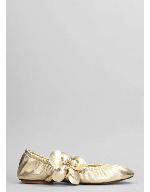 Zimmermann Ballet Flats In Gold Leather