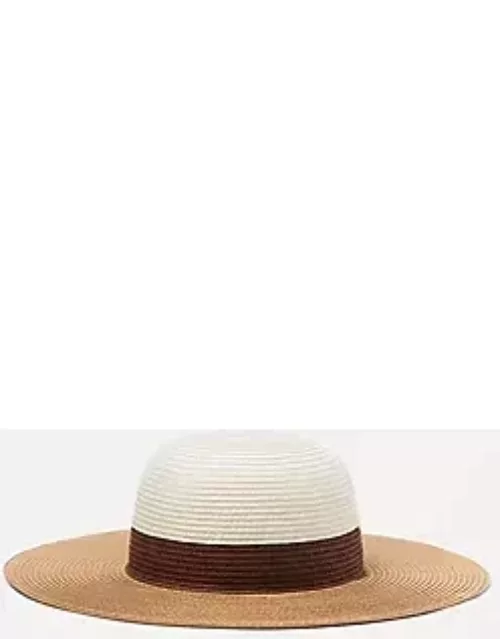 Ann Taylor Colorblock Floppy Straw Hat