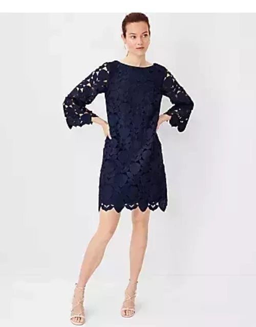 Ann Taylor Studio Collection Lace Boatneck Shift Dres