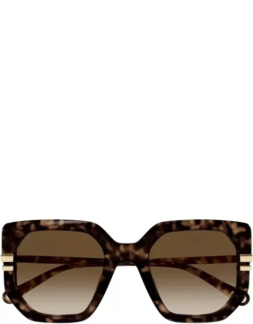 Chloé Eyewear CH0240s 002 Sunglasse