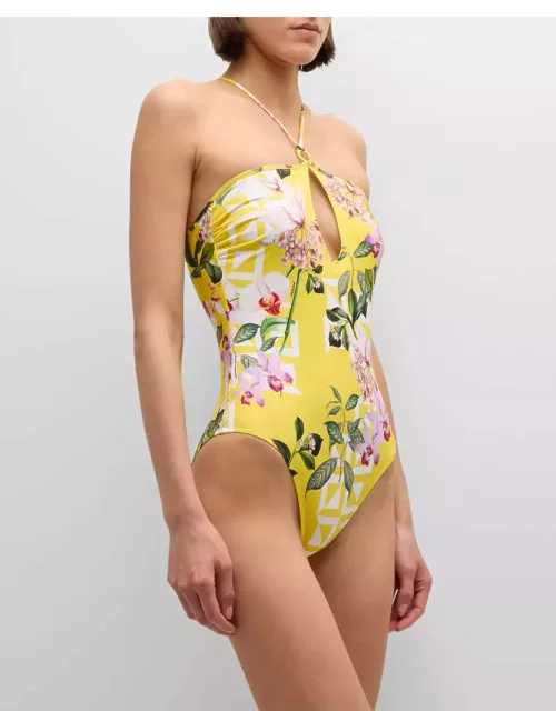 Jardin Delice Non-Wire Halter One-Piece Swimsuit
