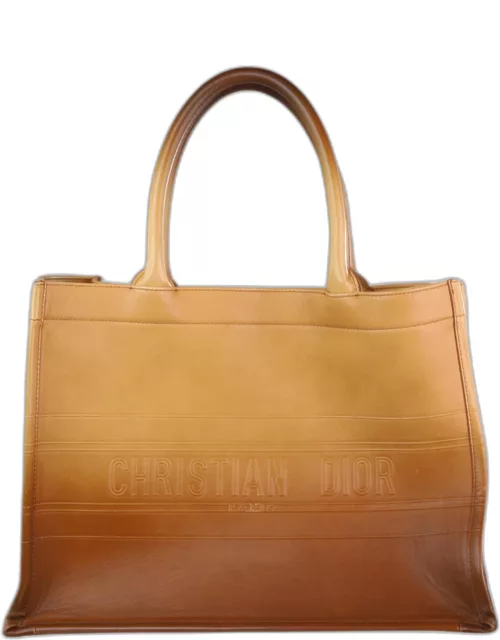 Dior Brown Ombre Gradient Leather Medium Book Tote Bag
