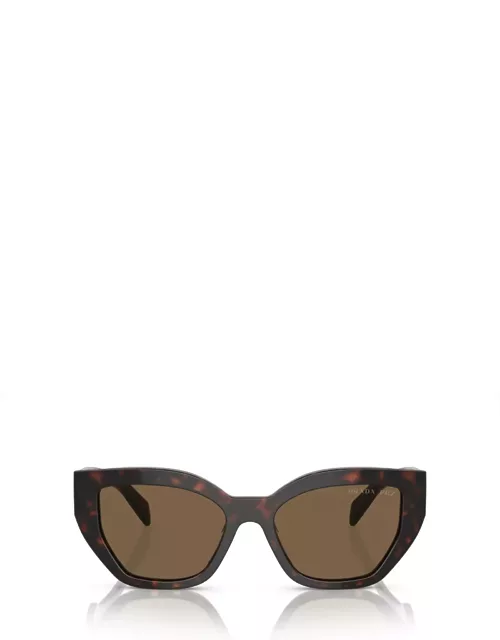 Prada Eyewear Pr A09s Briar Tortoise Sunglasse