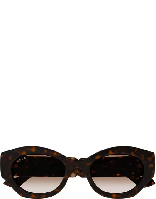 Gucci Eyewear Gg1553s Linea Gucci Lido 002 Havana Crystal Brown Sunglasse