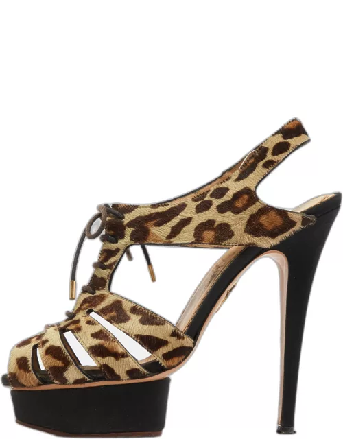 Charlotte Olympia Beige/Brown Leopard Calf hair Lace Up Platform Sandal