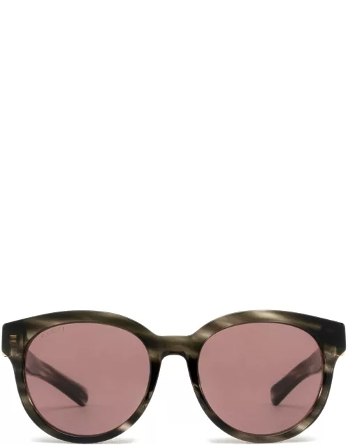 Gucci Eyewear Gg1511sk Havana Sunglasse