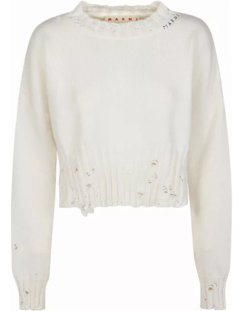 Marni Cropped Roundneck Sweater