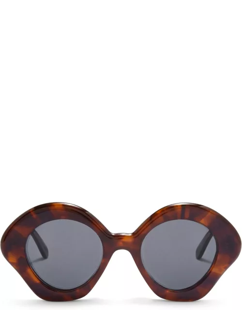 Loewe Lw40125u - Dark Havana Sunglasse