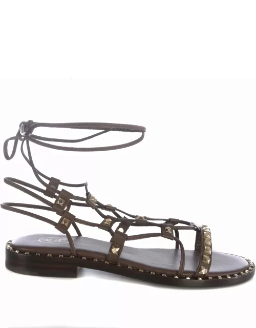 Sandals Ash paloma In Leather