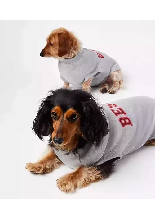 Loft Bestie Dog Sweatshirt