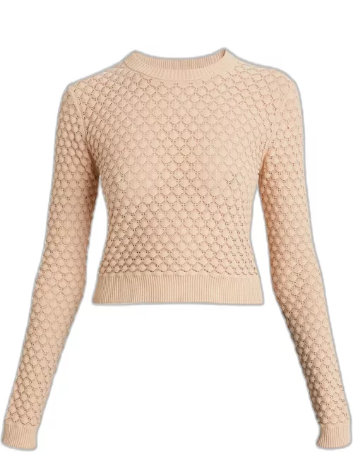 Pointelle Knit Cropped Crew Neck Sweater