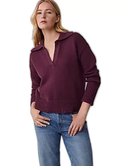 Ann Taylor AT Weekend Collared Sweater
