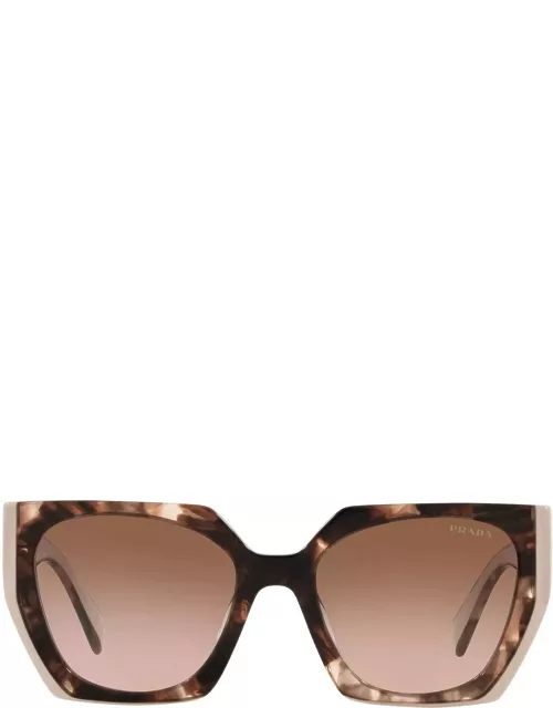 Prada Eyewear Pr 15ws Tortoise Caramel / Powder Sunglasse