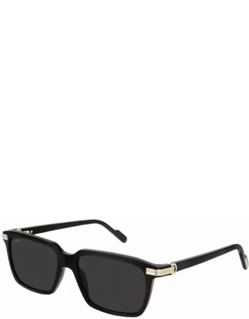 Cartier Eyewear Ct 0220 - Black Sunglasse