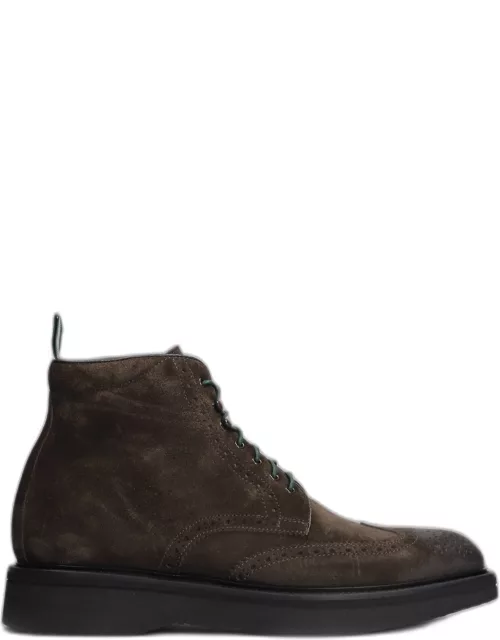 Green George Lace Up Shoes In Brown Suede