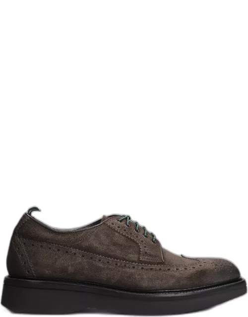 Green George Lace Up Shoes In Brown Suede