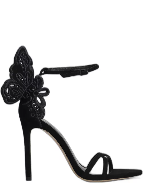 Sophia Webster Chiara Sandals In Black Suede