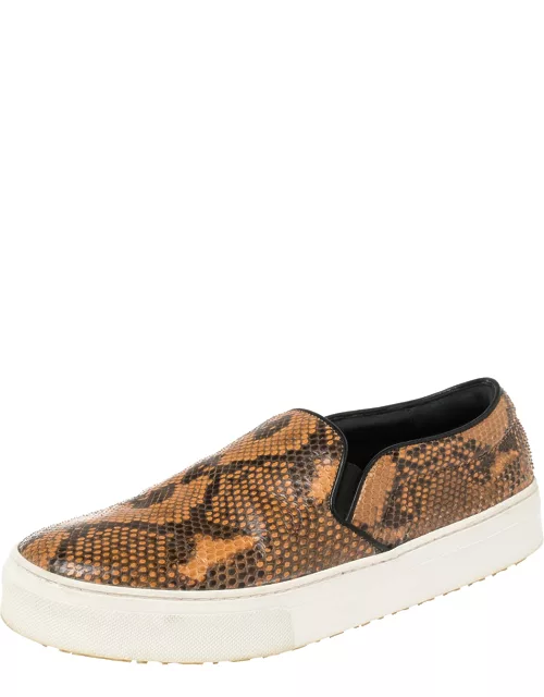 Celine Multicolor Python and Leather Slip On Sneaker