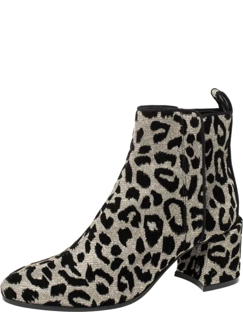 Dolce & Gabbana Black/Gold Lurex and Velvet Vally Ankle Boot